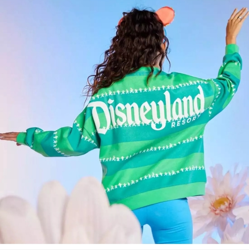 Disney Green Stripe Disneyland Resort Sweatshirt